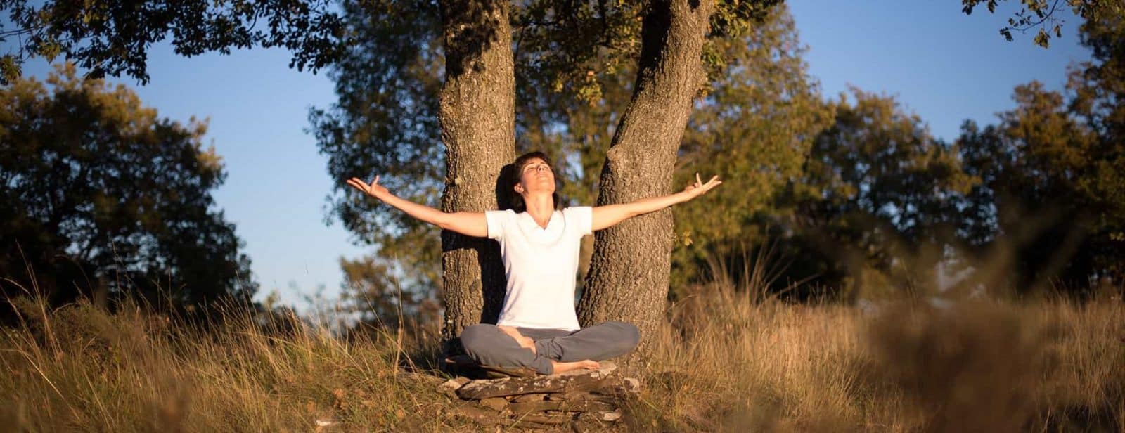 WitryhOct16-00030-17-e1528443601666 Formación de Profesores de Yoga